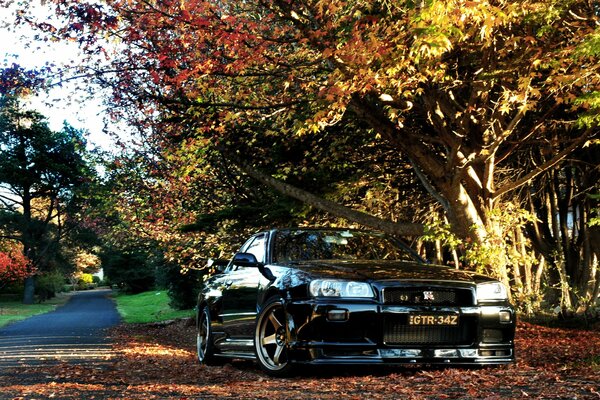 Autumn landscape with a car, the rays of the sun