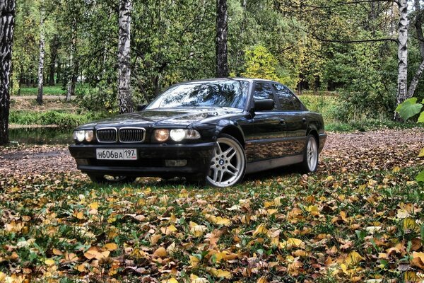 Un auto bmw nera sul sentiero autunnale