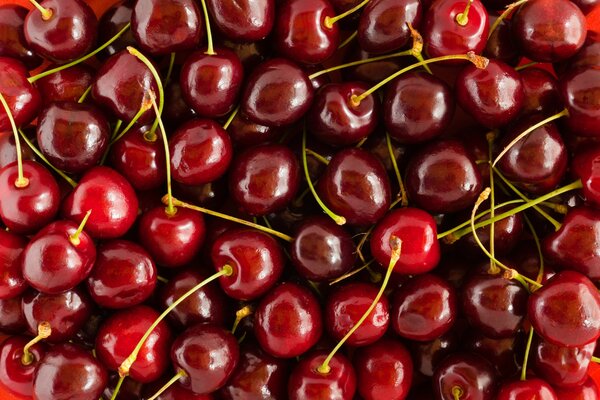 Juicy red cherry with twigs