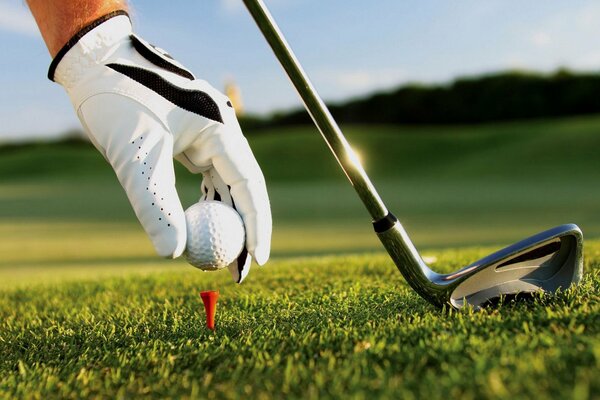 Glove and putter on the golf course