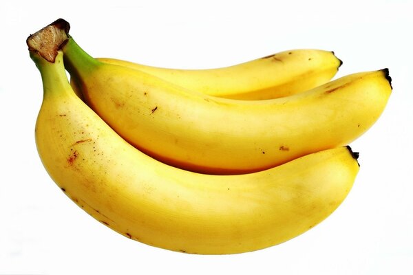 Bananas on a white background with a brush