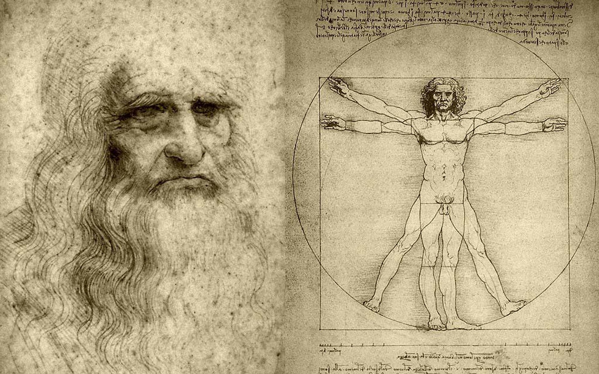 leonardo da vinci el hombre de vitruvio dibujo