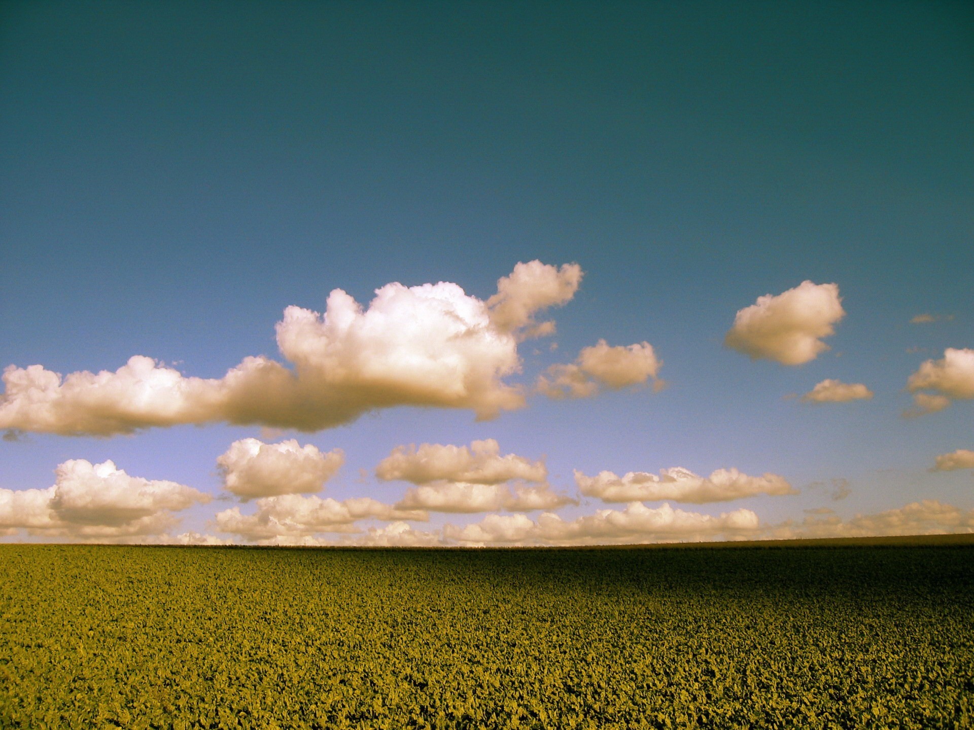 nubes campo color