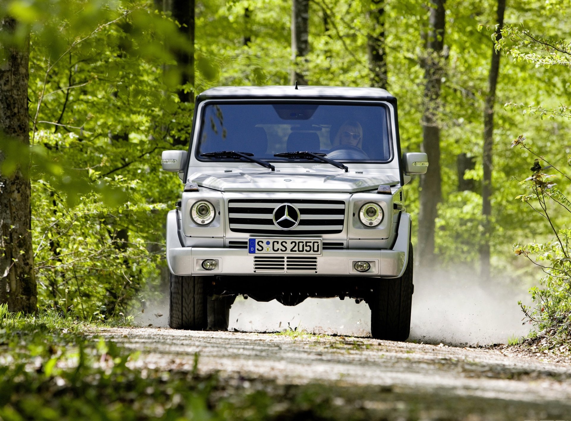 mercedes-benz helic forêt