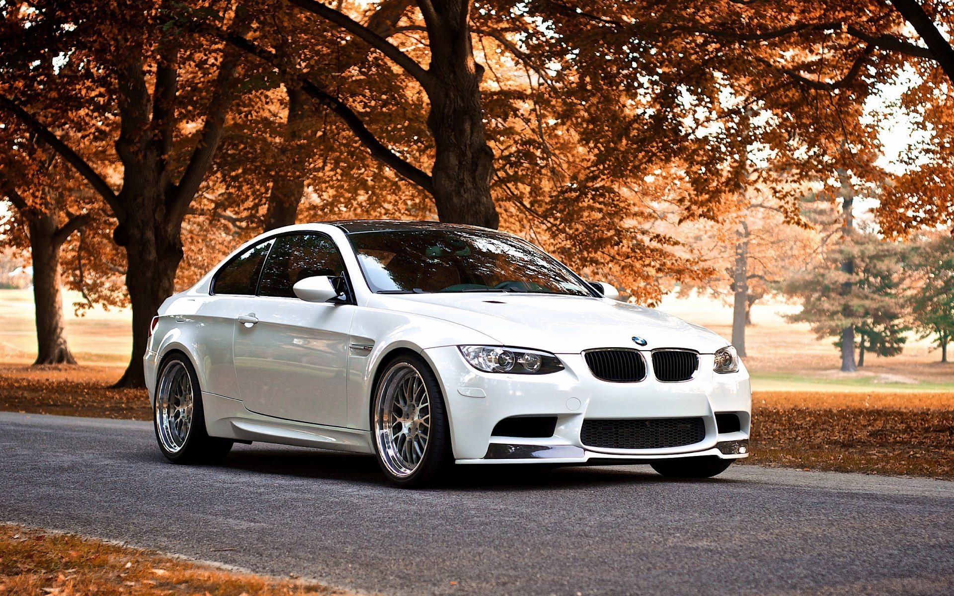 bmw m3 automne arbres