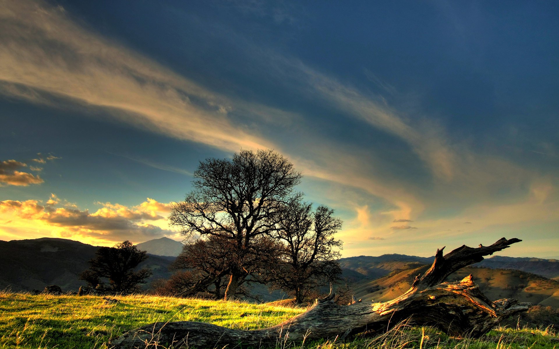 herbe paysage coucher de soleil