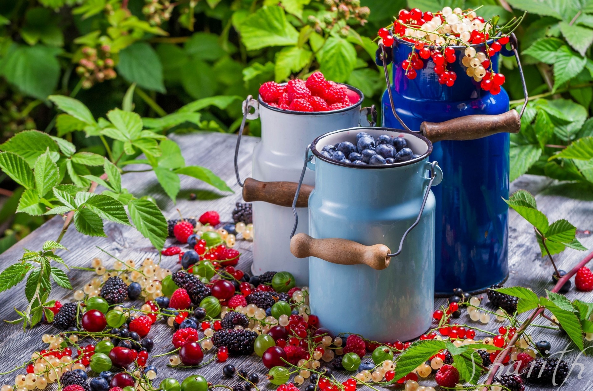 moras frambuesas grosellas frutas bayas alimentos frascos vitaminas grosellas arándanos