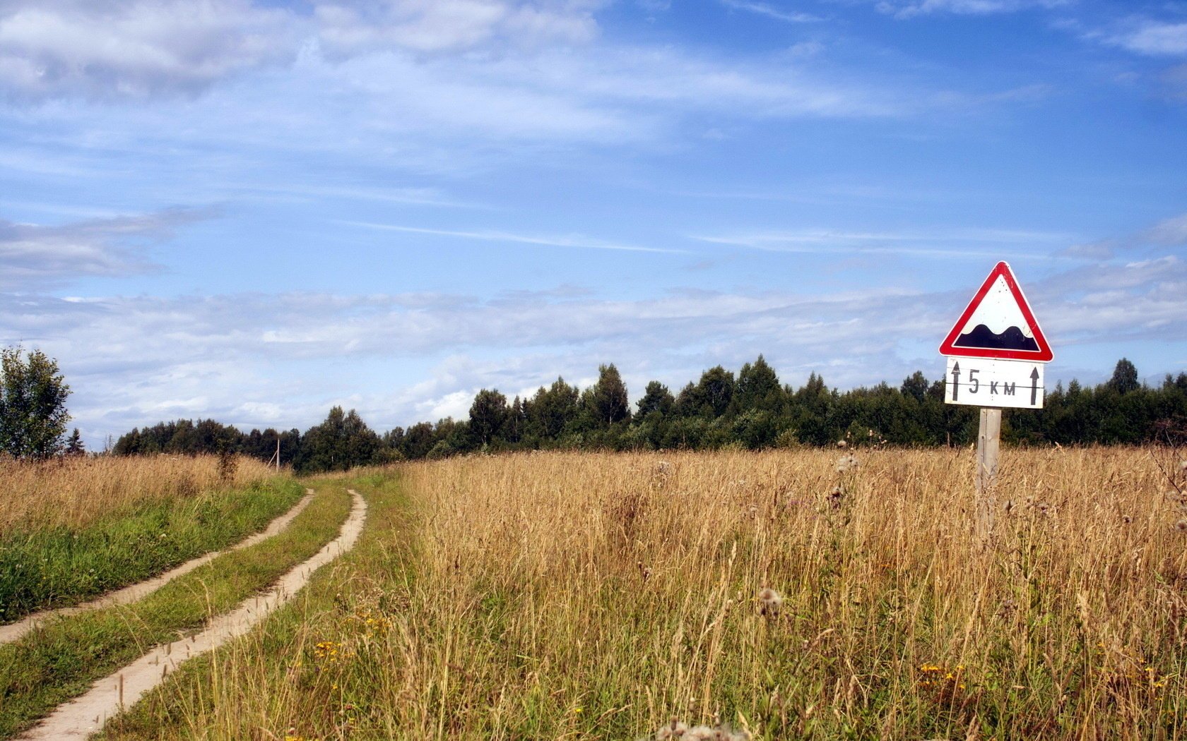 camino campo paisaje muestra