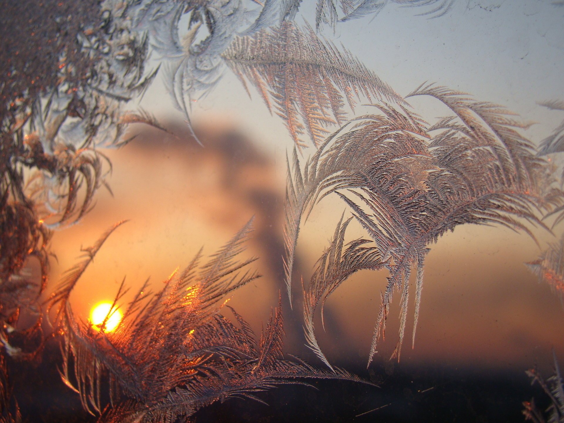 different frost patterns dawn window