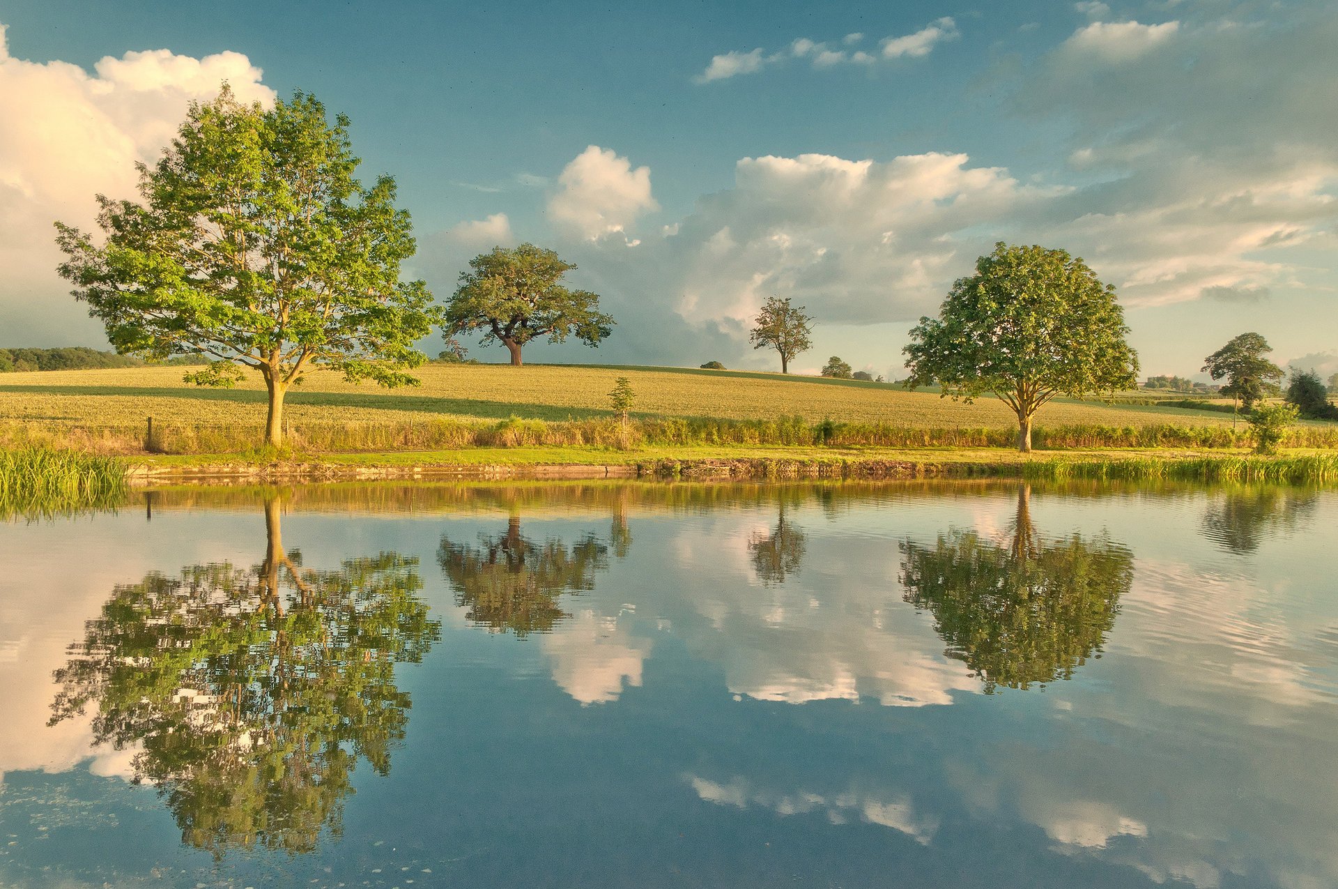 river trees reflection the sky nature