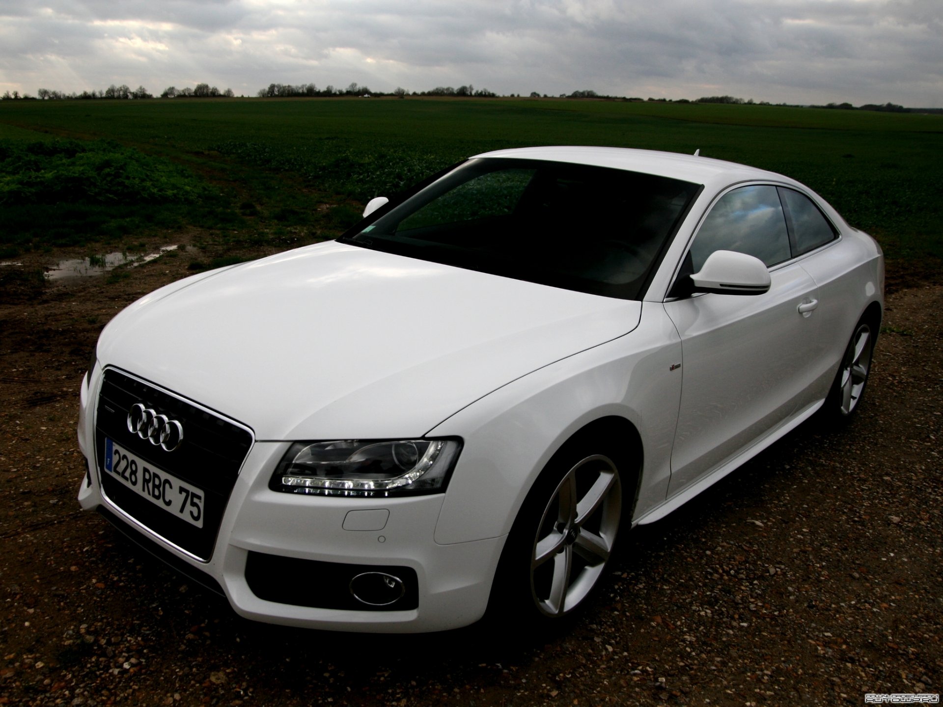 audi a5 quattro coupe audi white