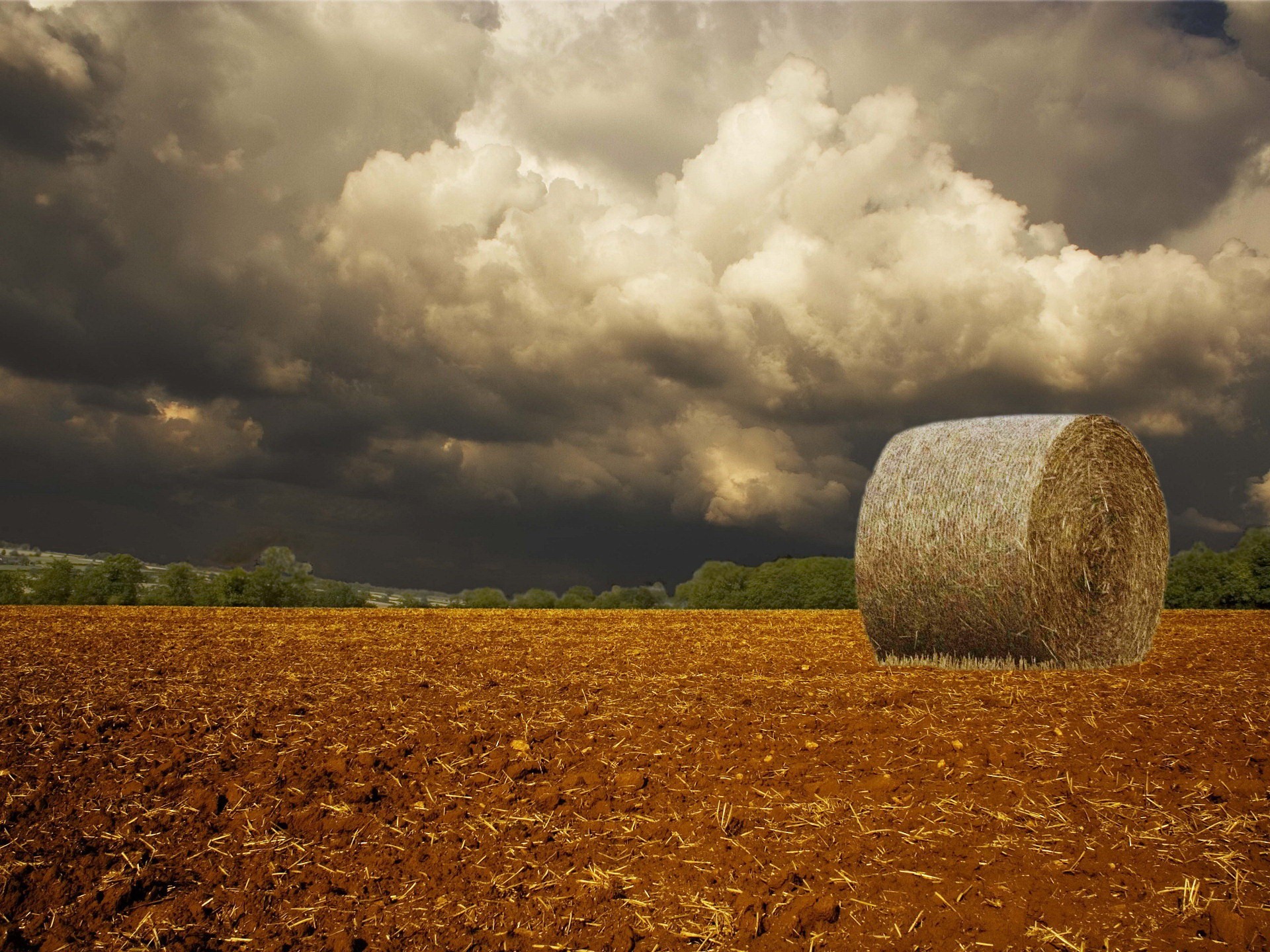 clouds the field storm