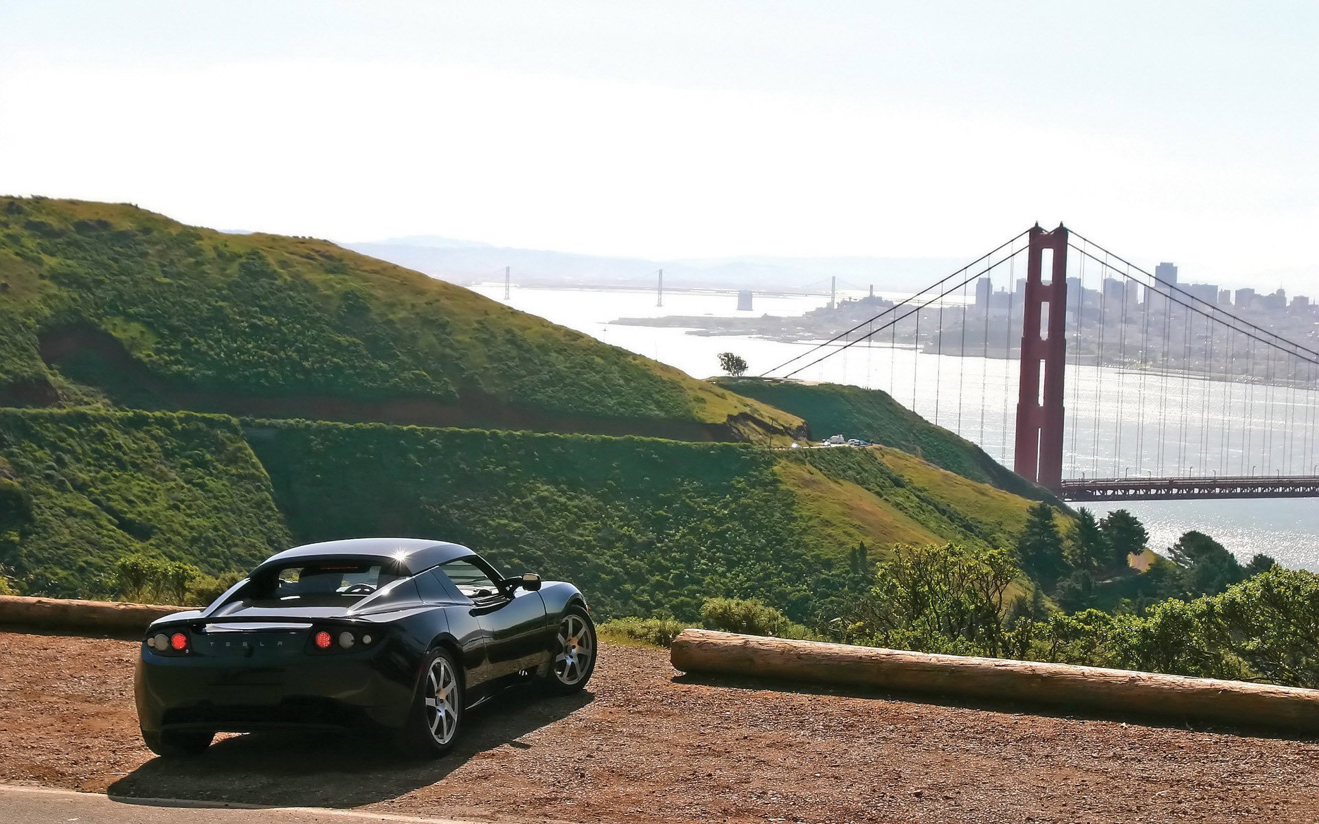 tesla brücke natur