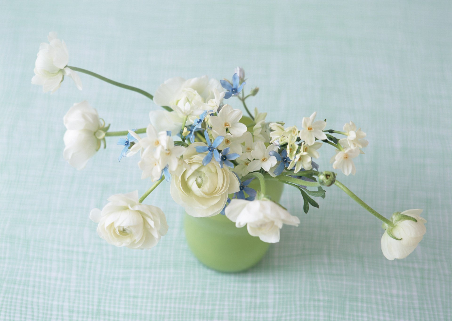 delicate composition flowers flowers in a vase