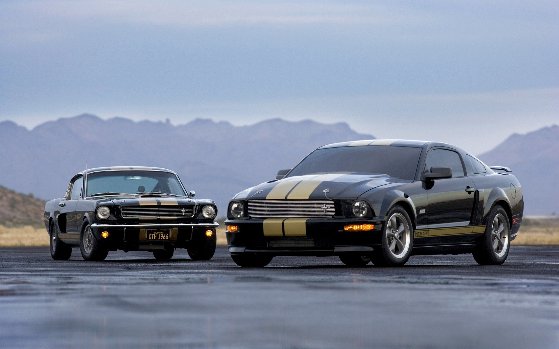 ford shelby gt-h automobili widescreen automobili strada