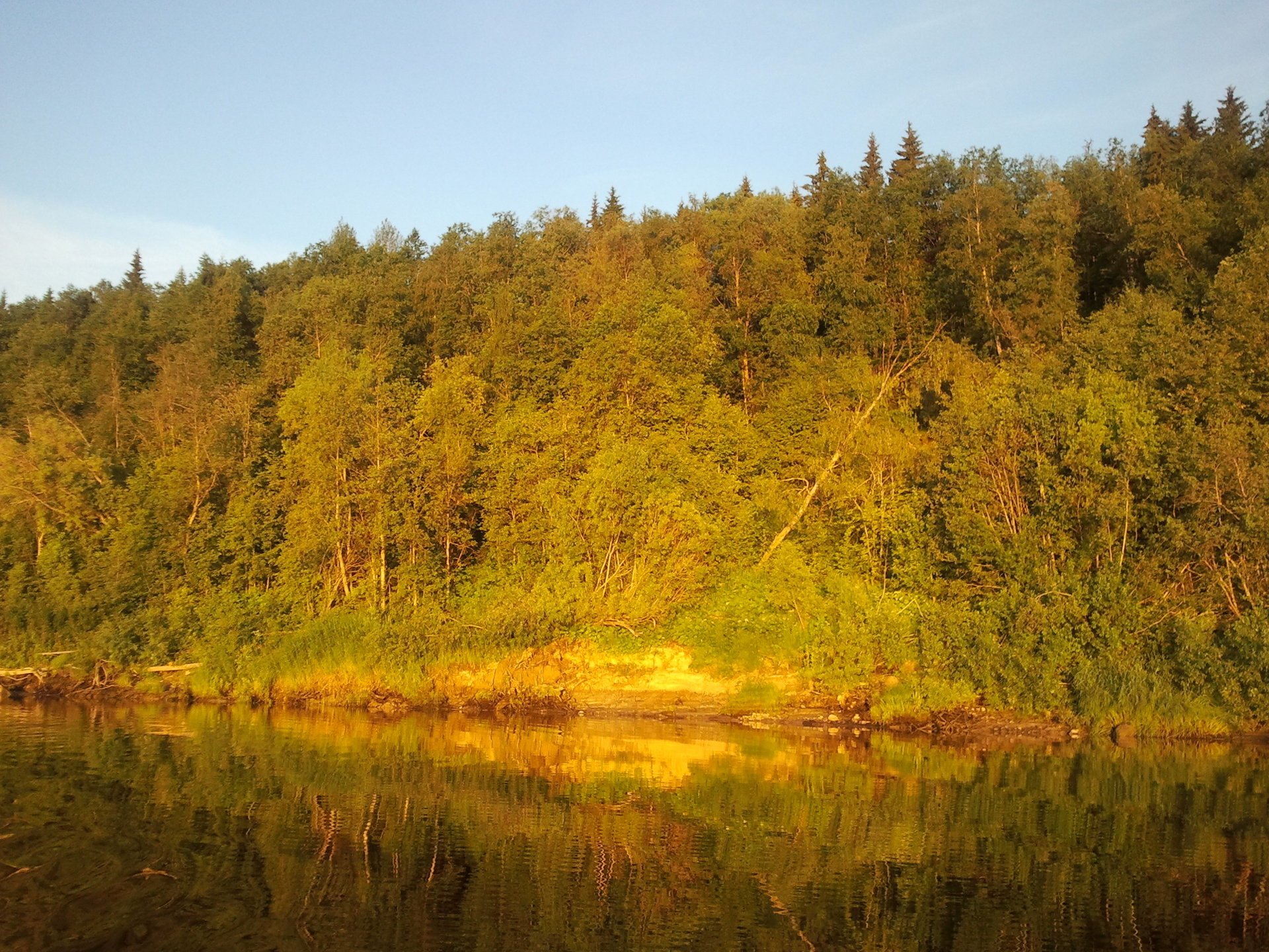 sonnenaufgang wald