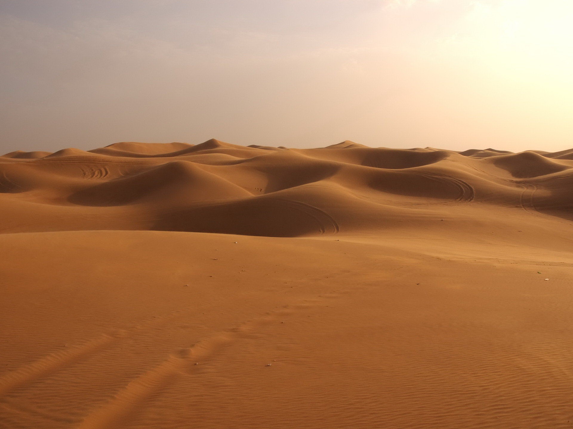 sand wüste dünen