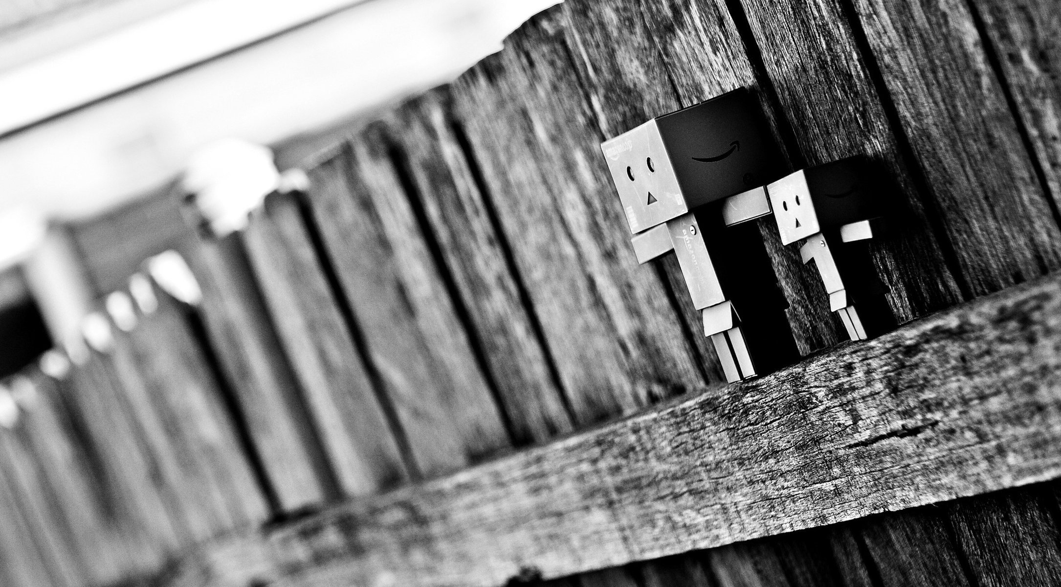 danbo boîte noir et blanc macro clôture flou