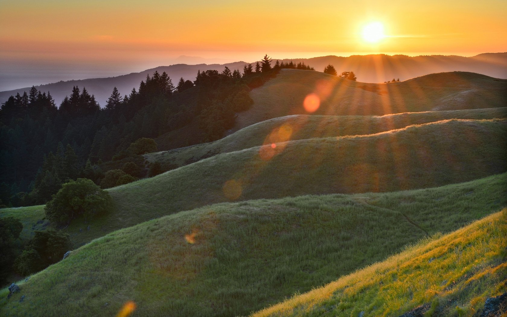 forest glare hills the sun morning ray