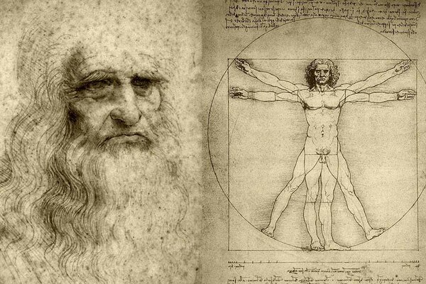 Drawing by the great artist da Vinci