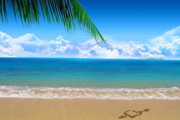 Photo of the beach with the sea and a palm twig