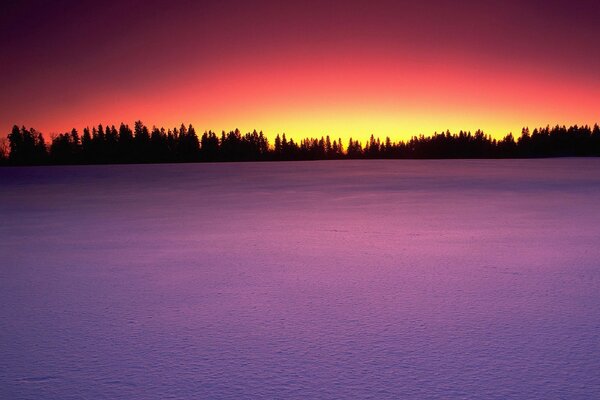 Lila Sonnenuntergang im Winter im Feld