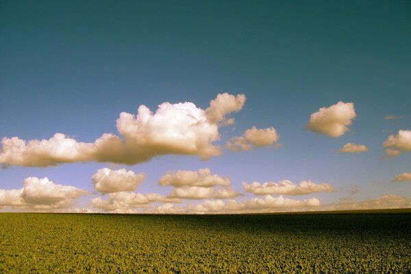 Auf dem Feld fällt Sonnenlicht, Wolken laufen über den Himmel