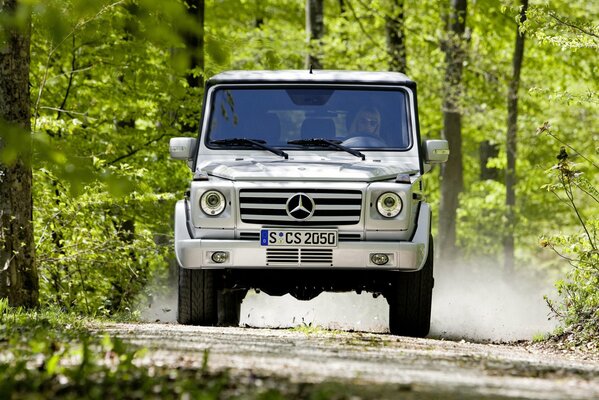 The Mercedes-benz gelik is ideal for riding in the forest