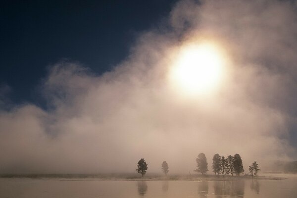 The fog covered the trees at an angle