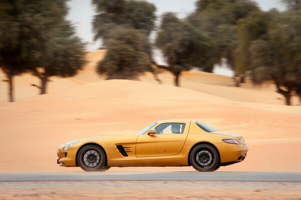 Ein goldener Hengst mitten im goldenen Sand