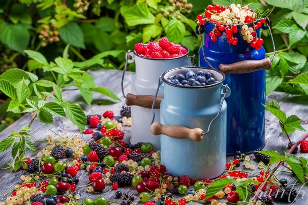 Le goût de l été:bidonchiki avec des baies parfumées