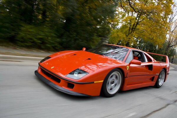 A red Ferrari car on a background of trees