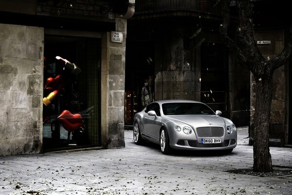 Foto Silberner Bentley continental gt des Jahres 2011