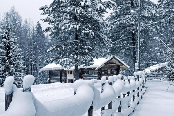 Clôture dans la neige autour de la maison parmi les pins