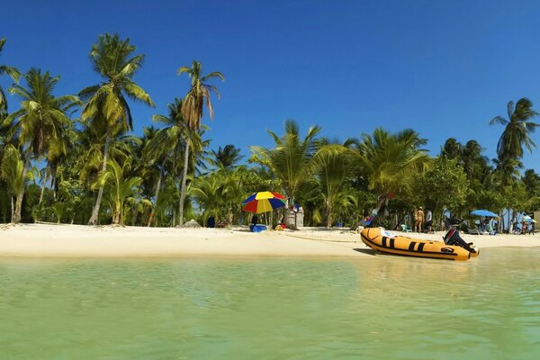 Boat on the seashore next to palm trees