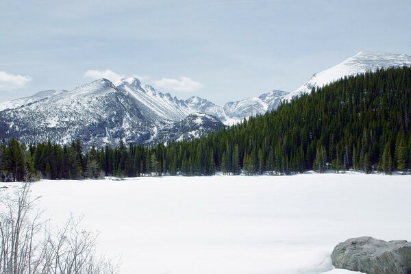 There are mountains with snow caps in the forest