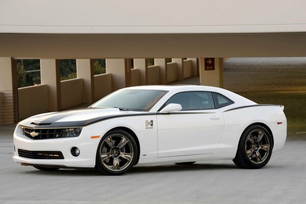 White Chevy Camaro in an elevated parking lot