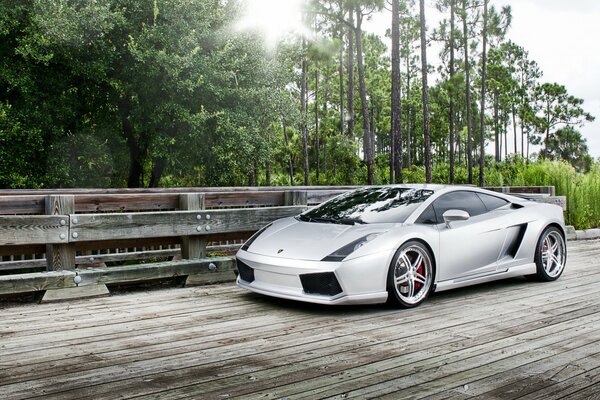 Lamborghini en un puente en el bosque fotografiado