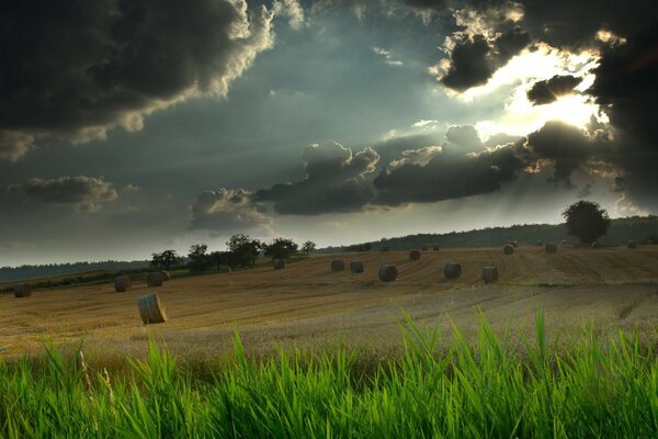 Harvested grass on the field before a thunderstorm