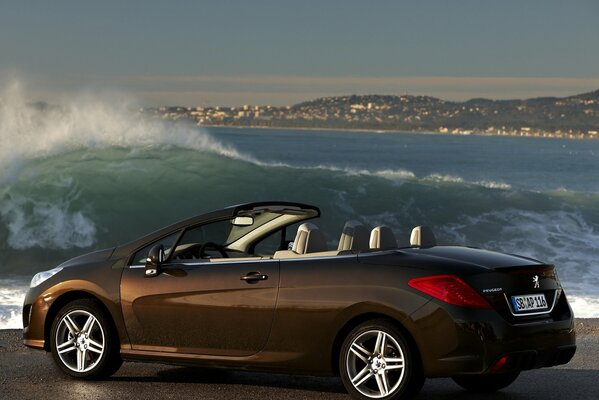 Brown Peugeot convertible rides towards the sea waves