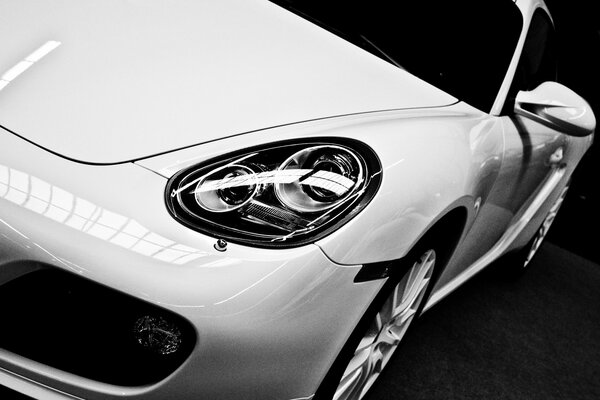 Pintura en blanco y negro Porsche cayman