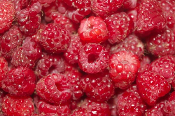 Viele süße leckere Himbeeren