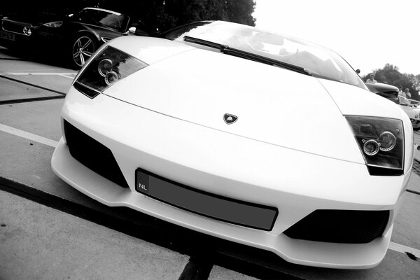 Car white Lamborghini Murcielago