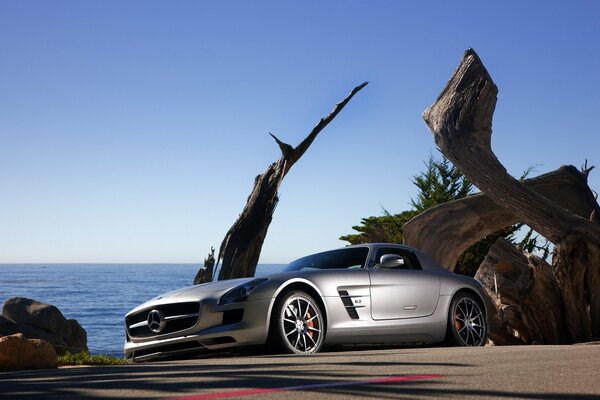 Handsome Mercedes SLS AMG fire