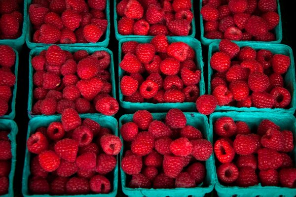 Boîtes carrées aux framboises