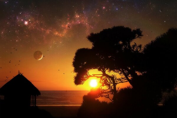Constellations au coucher du soleil dans la nuit