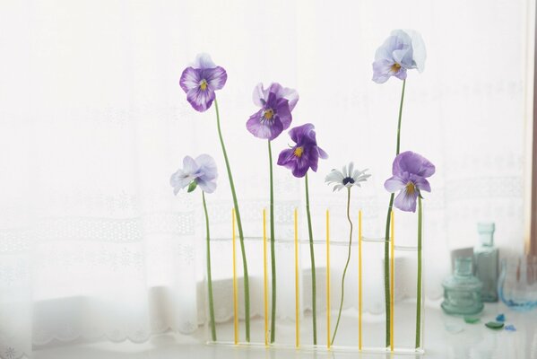 Blumenarrangement mit Stiefmütterchen