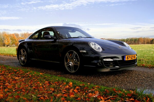 Un Porsche de color negro sobre un fondo de hojas