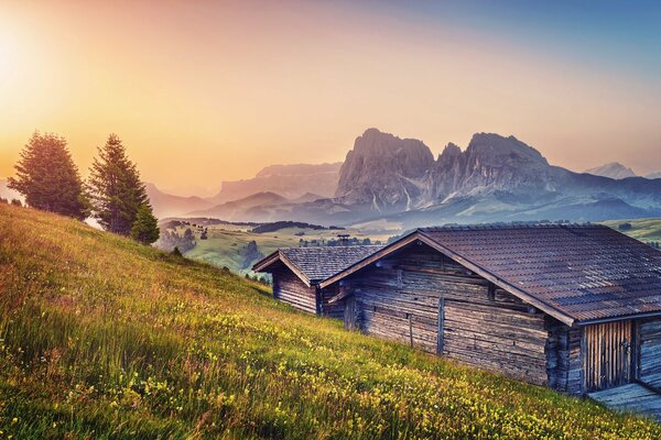 Casa in legno vicino alla collina verde