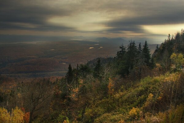 Tristezza autunnale nella foresta